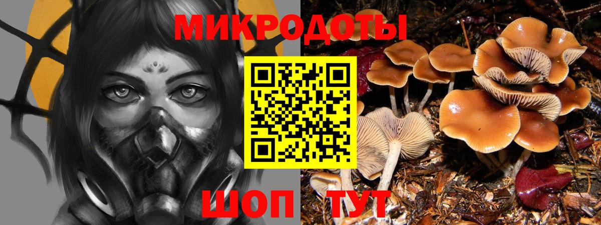 Псилоцибиновые грибы мицелий  Вход с VPN  Сызрань  Псилоцибиновые грибы мицелий 