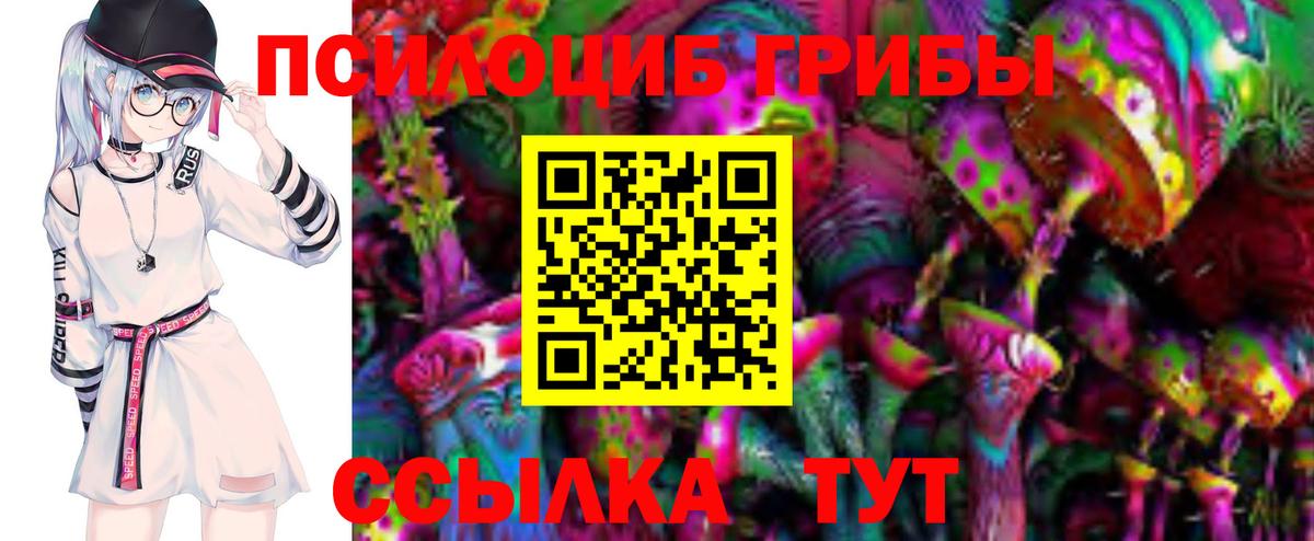 Галлюциногенные грибы прущие грибы Сызрань